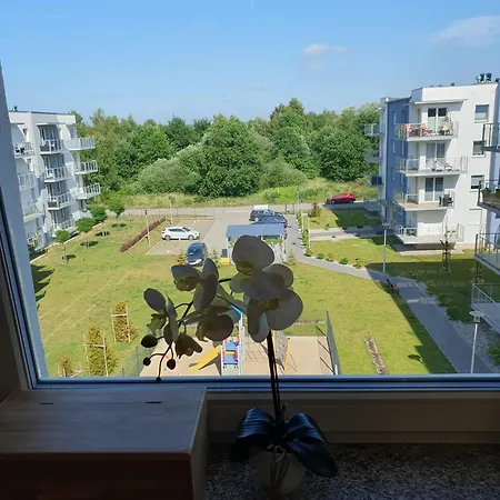 Comfort Del Mar Ii Kolobřeh